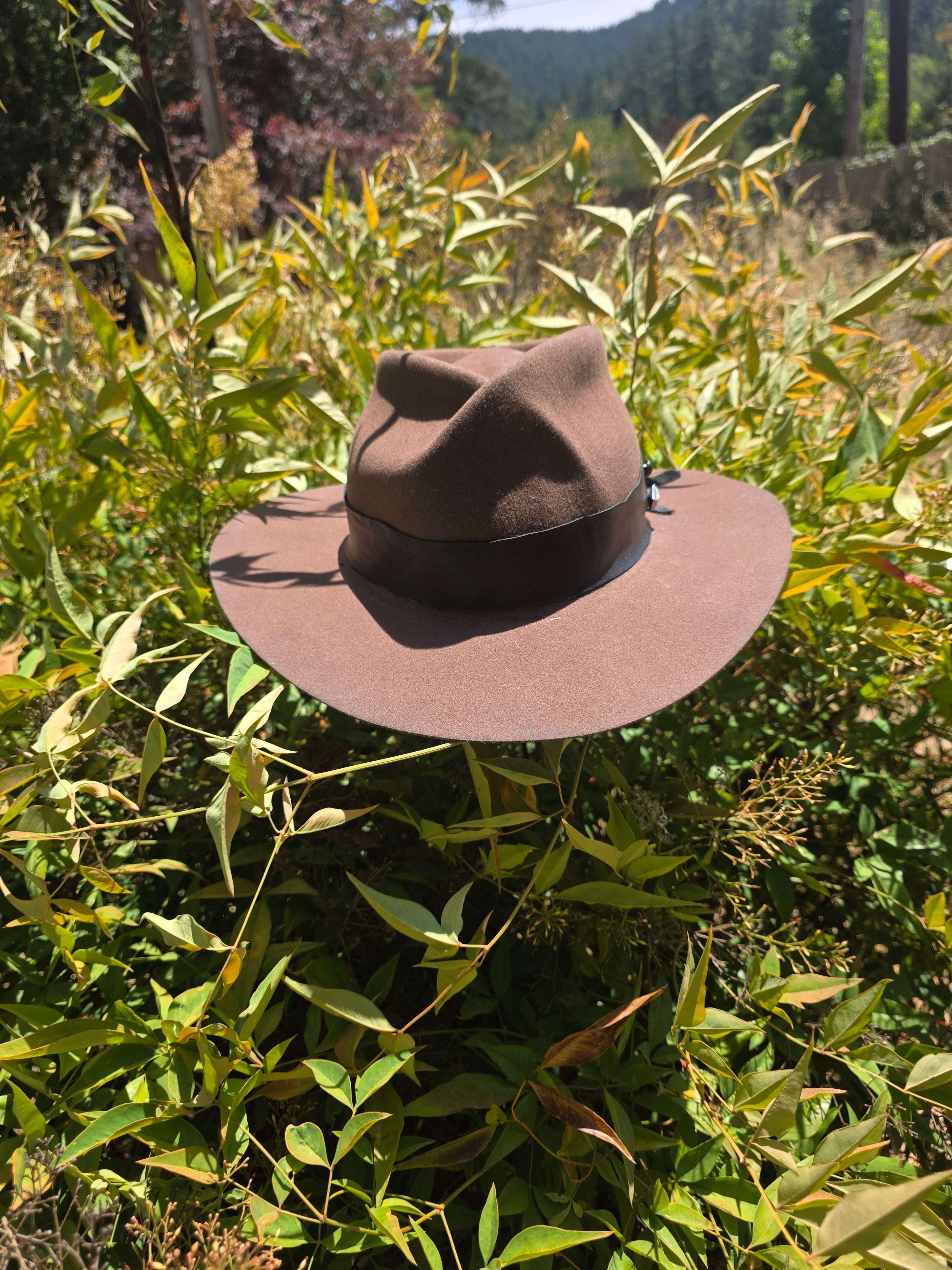 Fedora